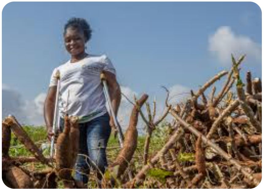 disability inclusive farming and animal husbandry